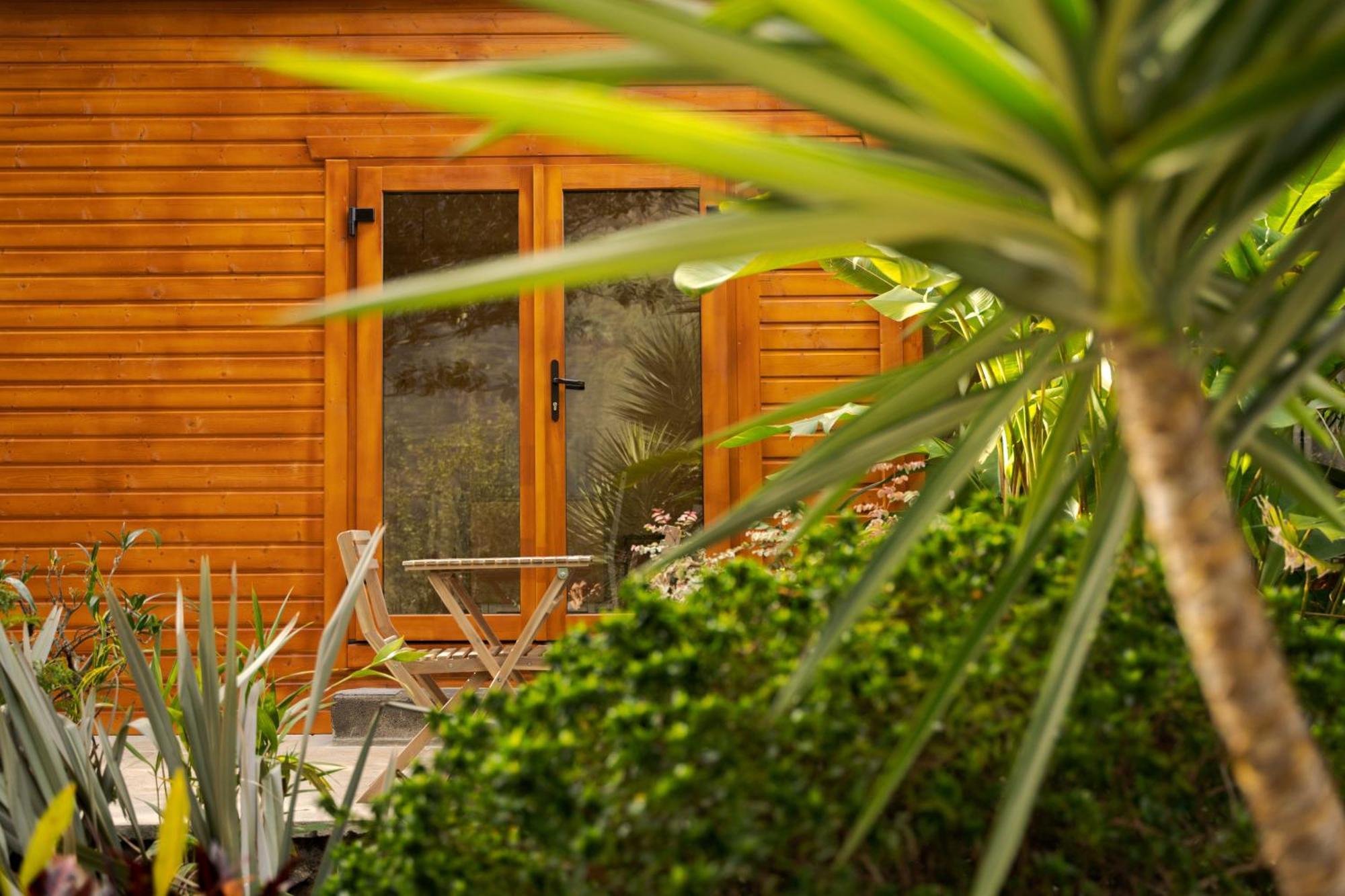 Madeira Surf Lodge São Vicente Exteriér fotografie